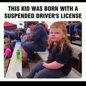 Meet your Posher, Paul